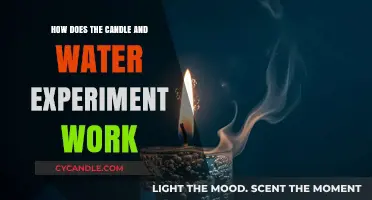 Candle and Water Experiment: Unveiling the Science Behind the Flame's Survival