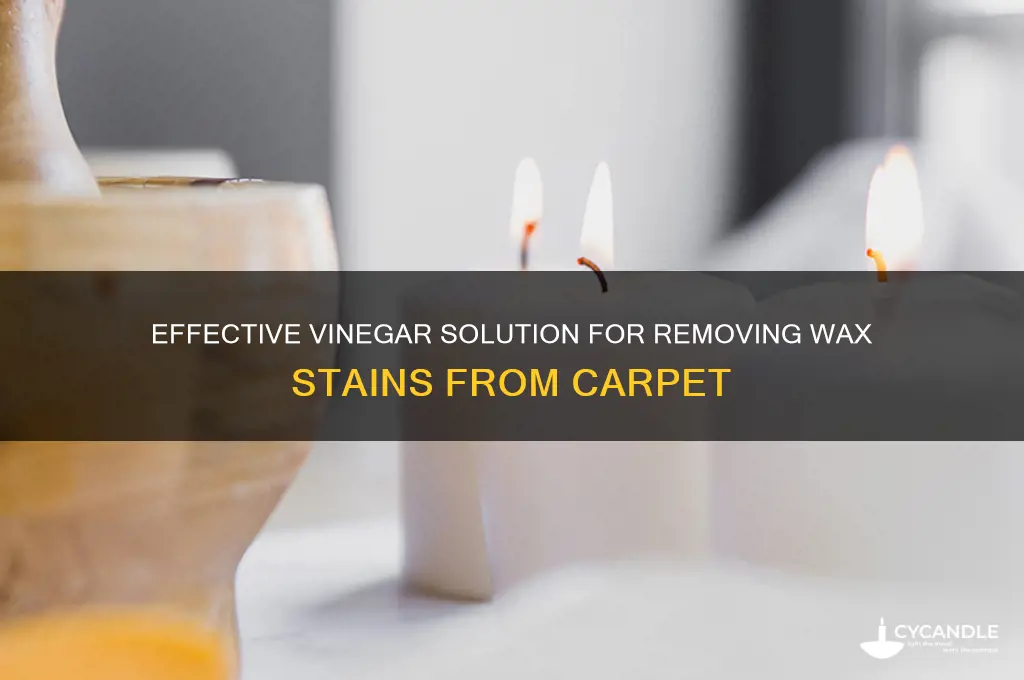 how does vinegar remove wax from carpet