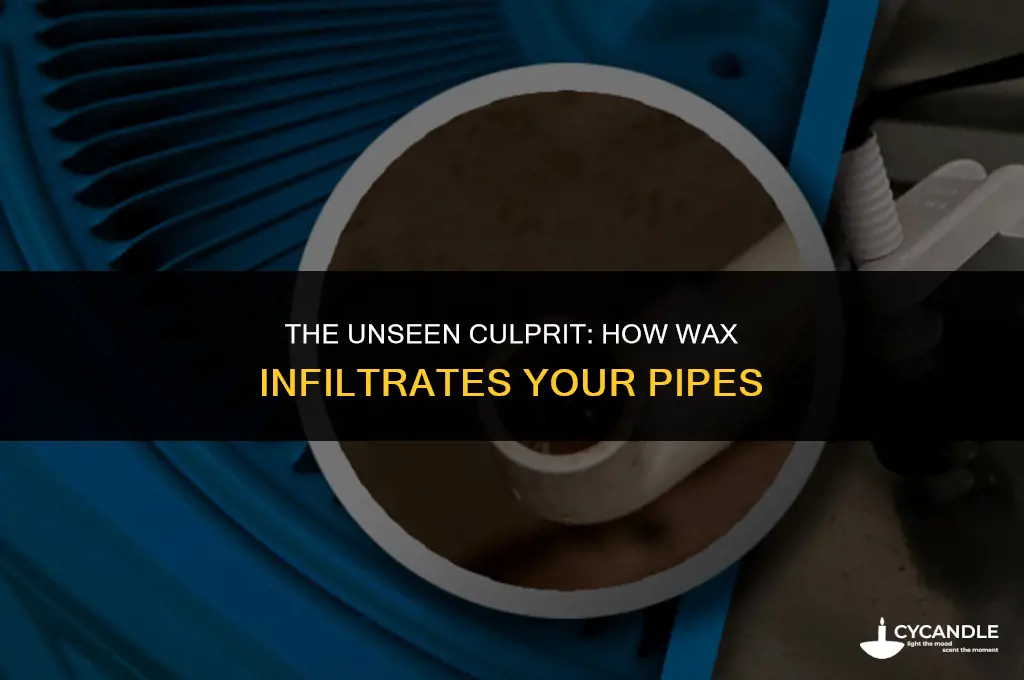 how does wax get into a pipe