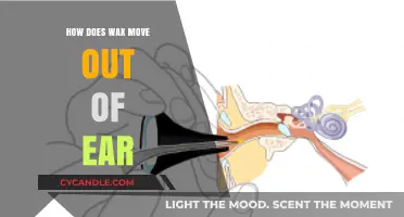 The Surprising Journey of Earwax: How It Moves Out Naturally