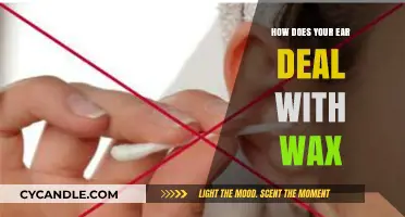 The Surprising Ways Your Ears Manage Wax Buildup