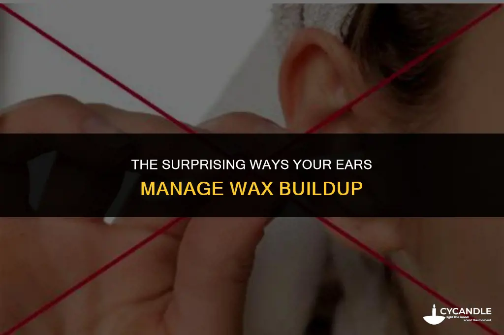 how does your ear deal with wax