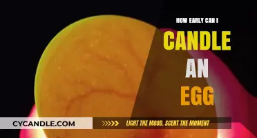 Candling Eggs: The Ideal Timing for Early Embryo Detection