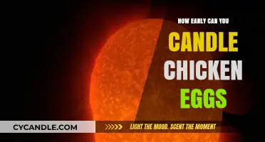 Candling Chicken Eggs: The Earliest Time to Check for Fertility