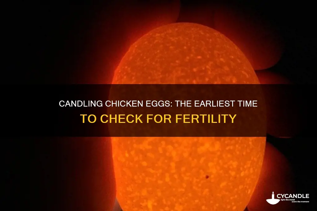 how early can you candle chicken eggs