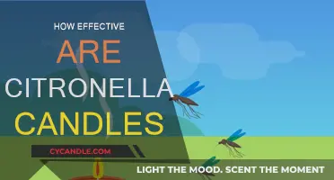 Citronella Candles: Effective Insect Repellent or Just a Scent?