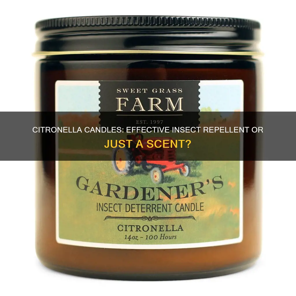 how effective are citronella candles