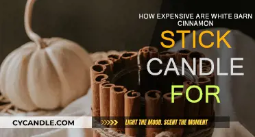 Expensive Comfort: White Barn Cinnamon Stick Candles Pricing