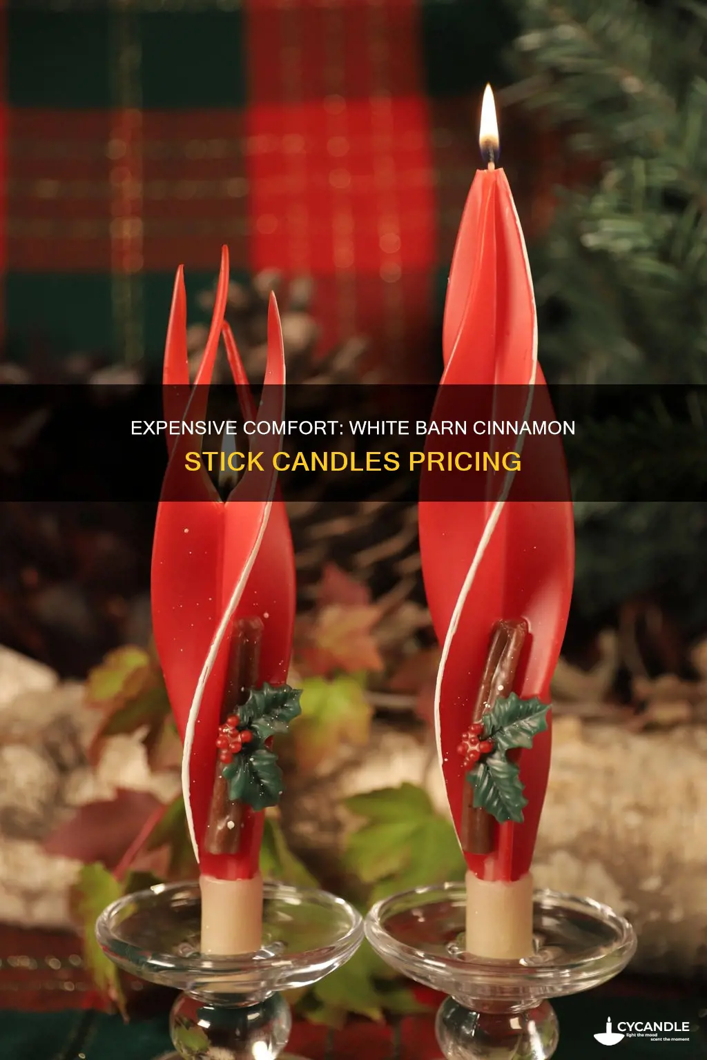 how expensive are white barn cinnamon stick candles for