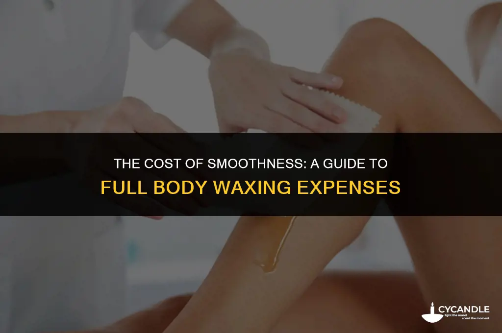 how expensive is it to get a full body wax