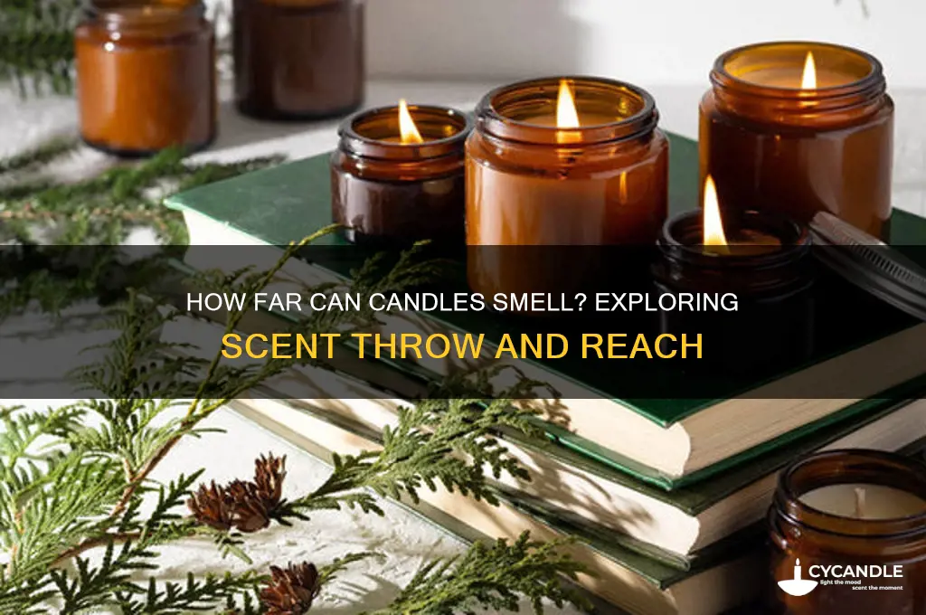 how far can candles smell