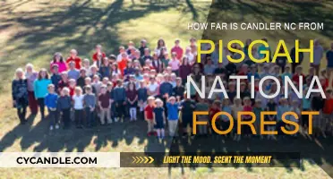 Exploring Pisgah National Forest from Candler, NC