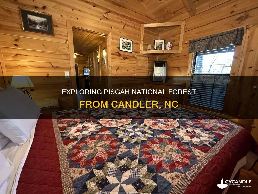 how far is candler nc from pisgah national forest