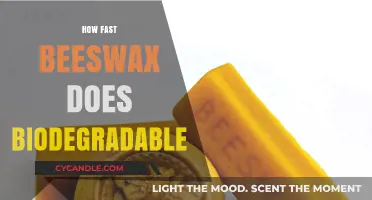 Beeswax Biodegradability: How Quickly Does It Break Down Naturally?