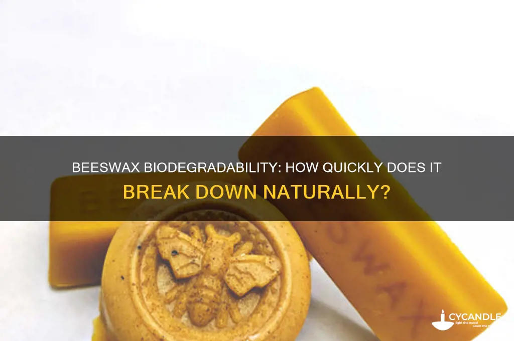 how fast beeswax does biodegradable