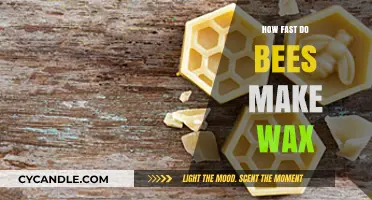 The Surprising Speed of Bees: How Fast Do They Make Wax?