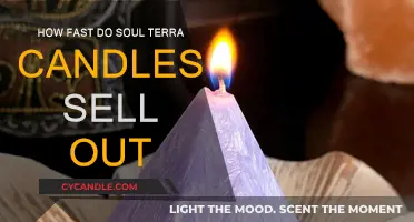 Soul Terra Candles: Fast-Selling Fragrant Delights