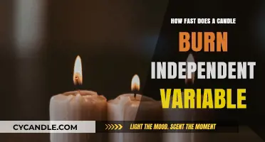 Candle Burn Rate Experiment: Exploring the Independent Variable's Impact