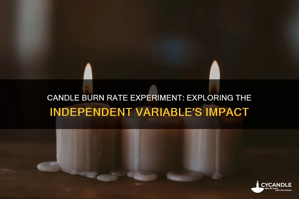how fast does a candle burn independent variable