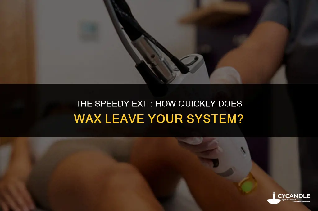 how fast does wax get out of your system