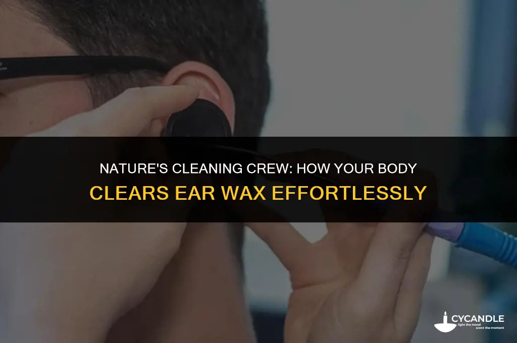 how foes the body clear ear wax by itself