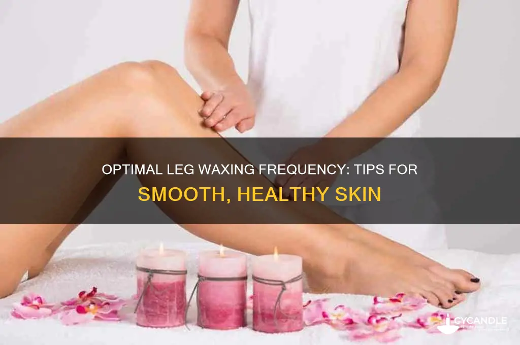 how frequently can you wax your legs