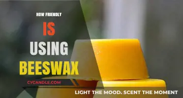 Is Beeswax a Friendly Choice? Exploring Its Eco-Friendly Benefits
