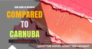 Comparing Beeswax and Carnauba: Hardness, Uses, and Durability Explained