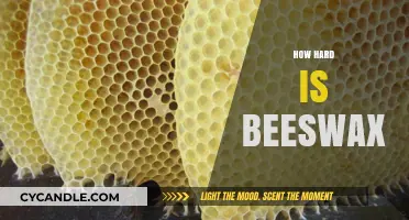 Exploring Beeswax Hardness: Texture, Uses, and Practical Applications