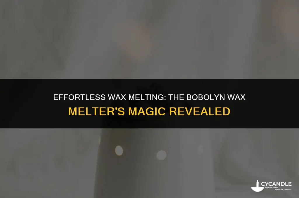 how ho does the bobolyn wax melter get