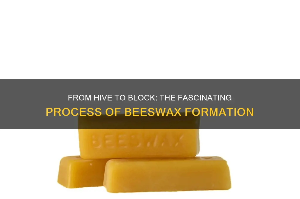 how is a block of beeswax formed