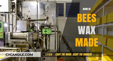 The Buzz on Beeswax: Nature's Marvelous Creation Process