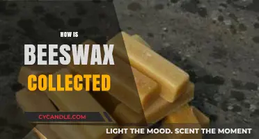 Harvesting Beeswax: Sustainable Collection Methods from Beehives Explained
