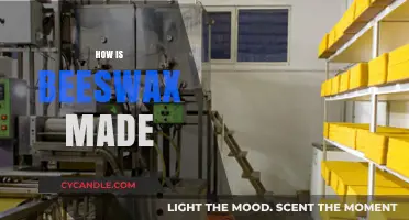 The Amazing Process: How Bees Create Beeswax Naturally