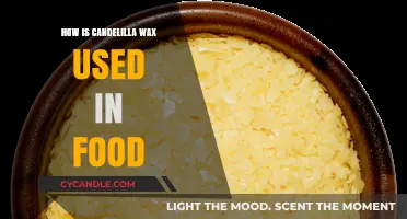 Exploring the Versatile Uses of Candelilla Wax in Food