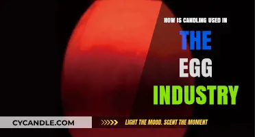 Candling Eggs: Illuminating Quality Control in the Egg Industry