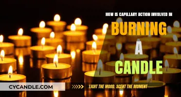 Capillary Action's Role in Candle Burning: A Scientific Insight