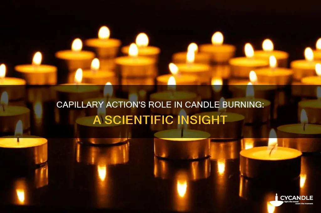 how is capillary action involved in burning a candle