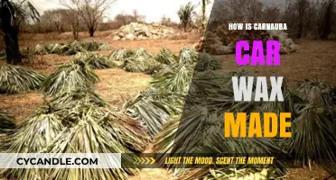The Art of Carnauba Car Wax: A Step-by-Step Guide