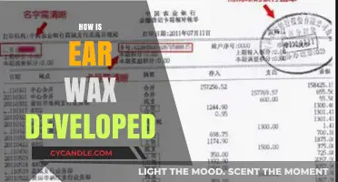 The Surprising Journey of Earwax: From Glands to Goodbye