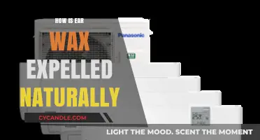 The Natural Journey of Earwax: How Your Ears Keep Themselves Clean