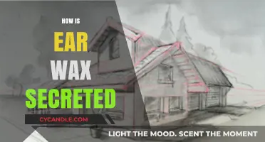 The Surprising Journey of Ear Wax: From Secretion to Protection