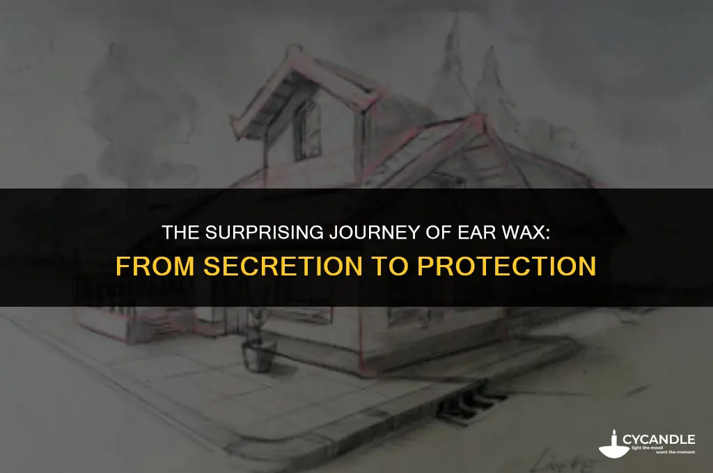how is ear wax secreted