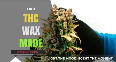 Crafting Concentrates: The Art and Science Behind THC Wax Production