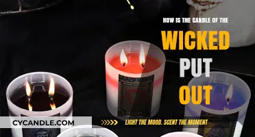 Extinguishing the Wicked's Flame: Understanding the End of Evil's Light
