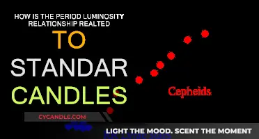 The Period-Luminosity Law: Standard Candles' Foundation
