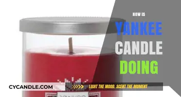 Yankee Candle's Performance: Sales, Trends, and Market Standing Today