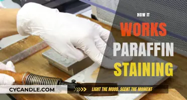 Understanding the Process of Paraffin Staining in Histopathology