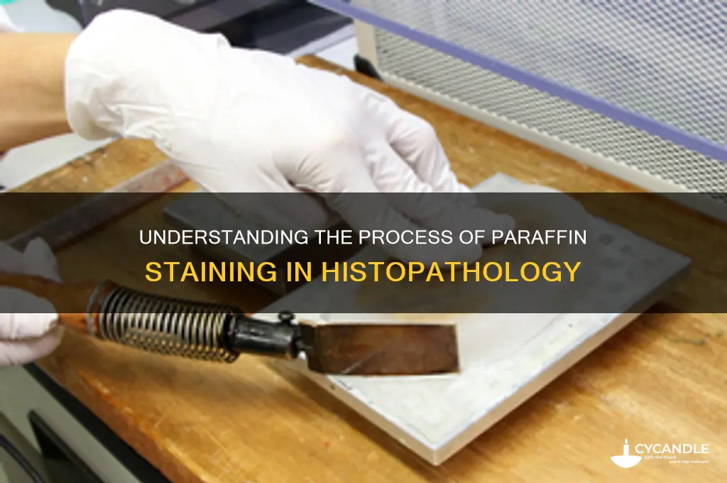 how it works paraffin staining