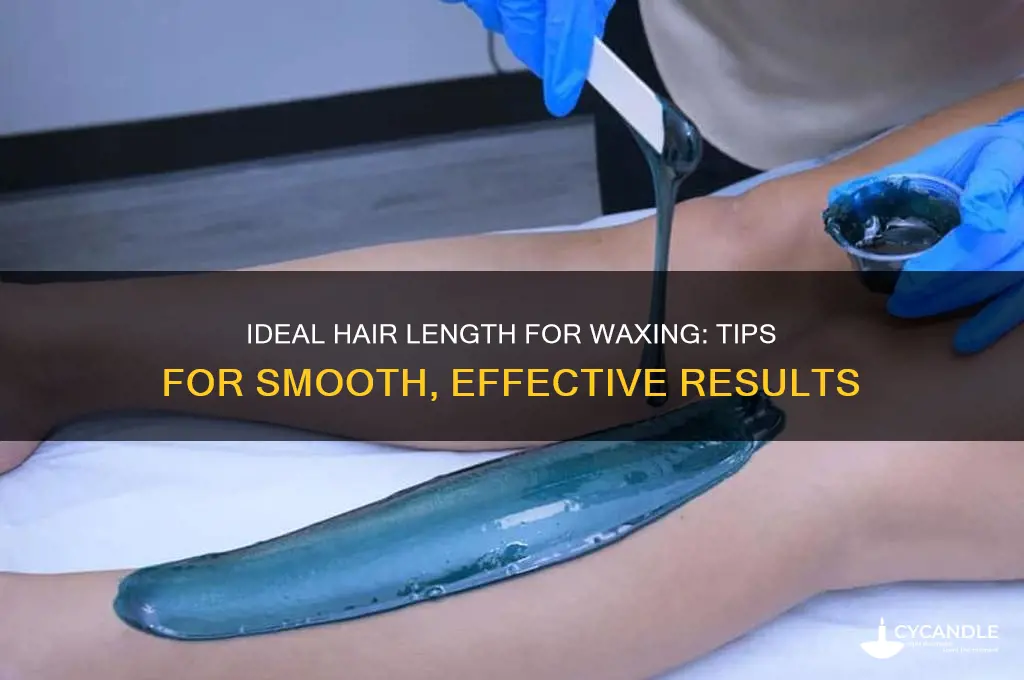 how lon can hair be to wax